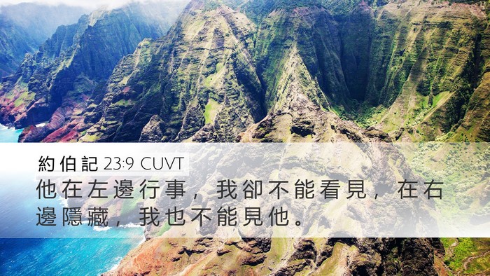 約 伯 記 23:9 CUVT Bible Verse Image
