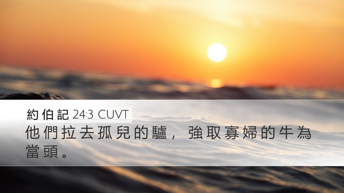 約 伯 記 24:3 CUVT Bible Verse Image