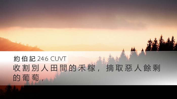 約 伯 記 24:6 CUVT Bible Verse Image