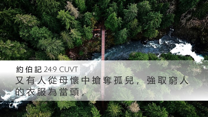 約 伯 記 24:9 CUVT Bible Verse Image