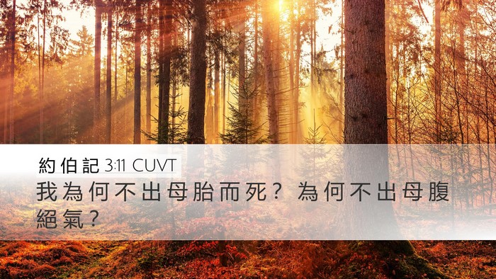 約 伯 記 3:11 CUVT Bible Verse Image