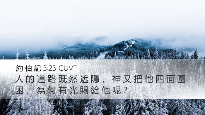 約 伯 記 3:23 CUVT Desktop Wallpaper - 人 的 道 路 既 然 遮 隱 ， 神 又 把 - Desktop Bible Verse Wallpaper