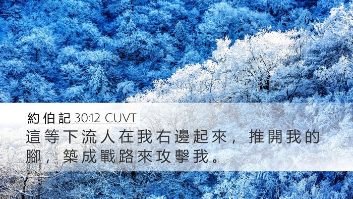 約 伯 記 30:12 CUVT Bible Verse Image