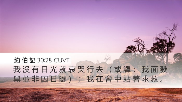 約 伯 記 30:28 CUVT Bible Verse Image