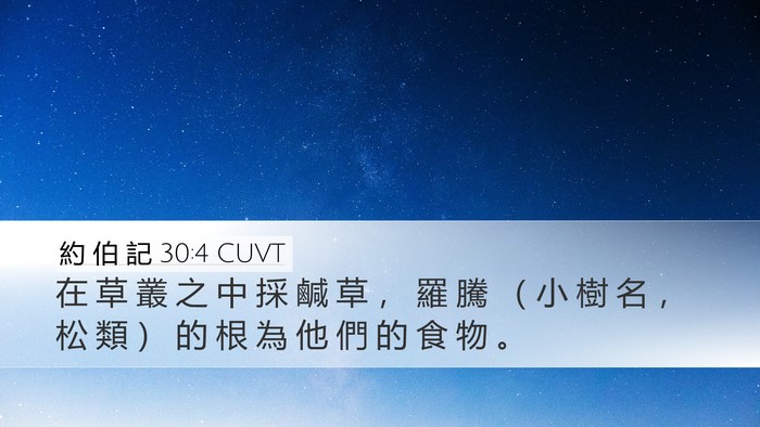 約 伯 記 30:4 CUVT Desktop Wallpaper - 在 草 叢 之 中 採 鹹 草 ， 羅 騰 （ - Desktop Bible Verse Wallpaper