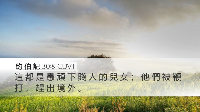 約 伯 記 30:8 CUVT Bible Verse Image