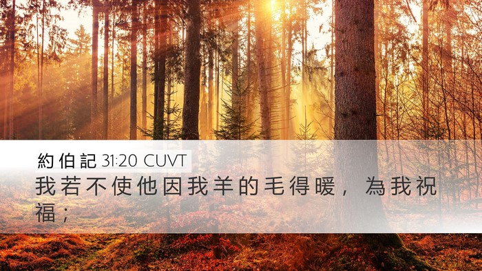 約 伯 記 31:20 CUVT Bible Verse Image