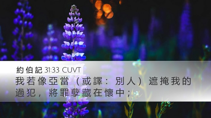 約 伯 記 31:33 CUVT Bible Verse Image