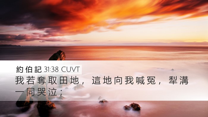 約 伯 記 31:38 CUVT Bible Verse Image