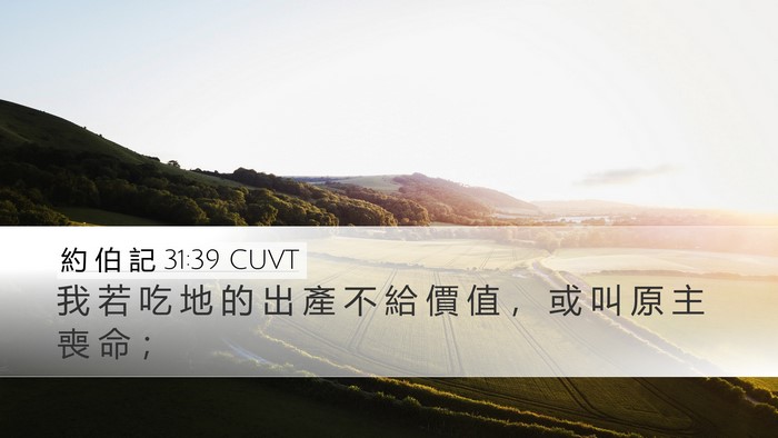 約 伯 記 31:39 CUVT Desktop Wallpaper - 我 若 吃 地 的 出 產 不 給 價 值 ， - Desktop Bible Verse Wallpaper