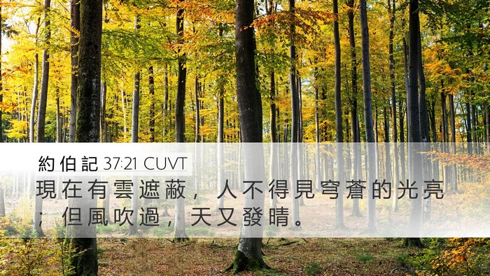 約 伯 記 37:21 CUVT Desktop Wallpaper - 現 在 有 雲 遮 蔽 ， 人 不 得 見 穹 - Desktop Bible Verse Wallpaper