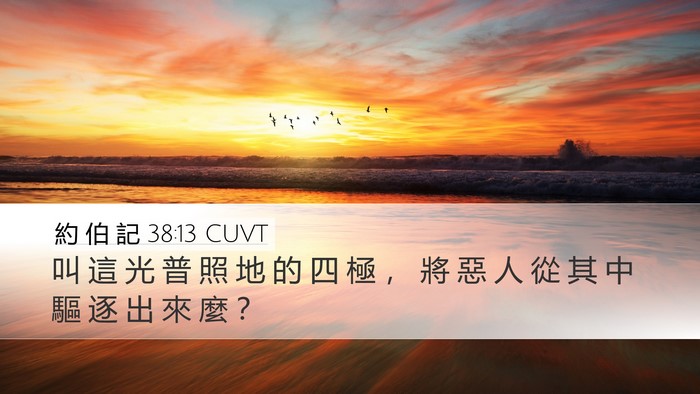 約 伯 記 38:13 CUVT Desktop Wallpaper - 叫 這 光 普 照 地 的 四 極 ， 將 惡 - Desktop Bible Verse Wallpaper