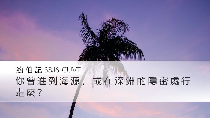 約 伯 記 38:16 CUVT Bible Verse Image