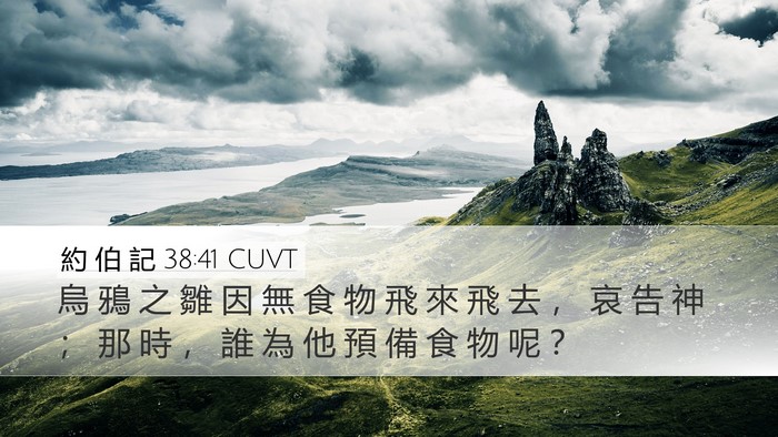 約 伯 記 38:41 CUVT Bible Verse Image