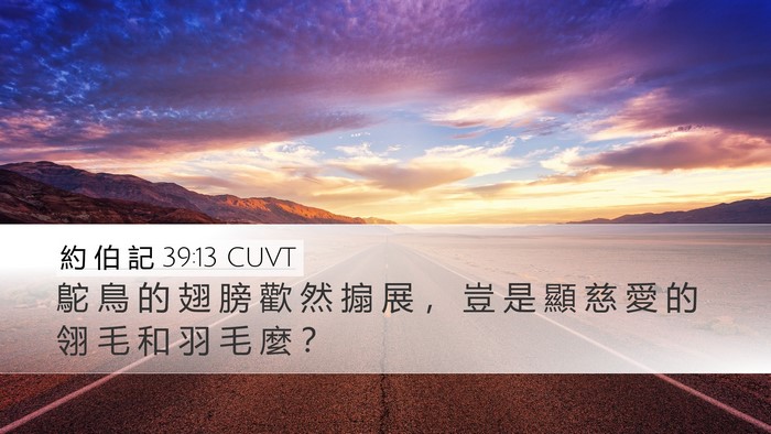 約 伯 記 39:13 CUVT Bible Verse Image