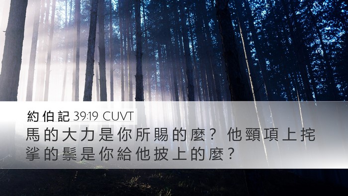 約 伯 記 39:19 CUVT Bible Verse Image