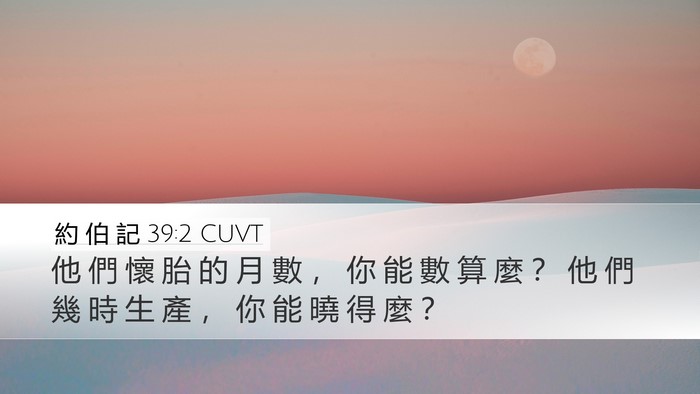 約 伯 記 39:2 CUVT Desktop Wallpaper - 他 們 懷 胎 的 月 數 ， 你 能 數 算 - Desktop Bible Verse Wallpaper