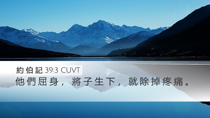 約 伯 記 39:3 CUVT Desktop Wallpaper - 他 們 屈 身 ， 將 子 生 下 ， 就 除 - Desktop Bible Verse Wallpaper