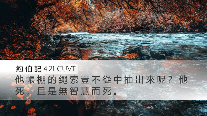 約 伯 記 4:21 CUVT Bible Verse Image