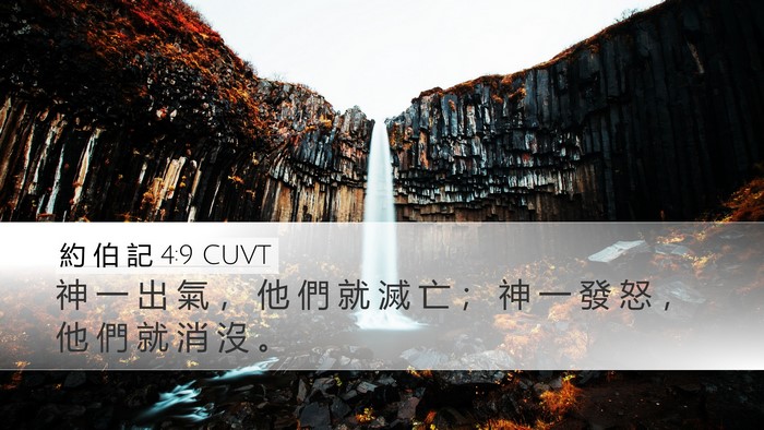 約 伯 記 4:9 CUVT Bible Verse Image
