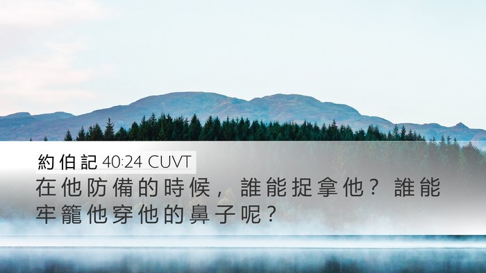 約 伯 記 40:24 CUVT Desktop Wallpaper - 在 他 防 備 的 時 候 ， 誰 能 捉 拿 - Desktop Bible Verse Wallpaper