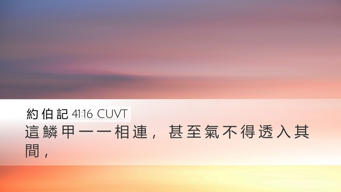 約 伯 記 41:16 CUVT Desktop Wallpaper - 這 鱗 甲 一 一 相 連 ， 甚 至 氣 不 - Desktop Bible Verse Wallpaper