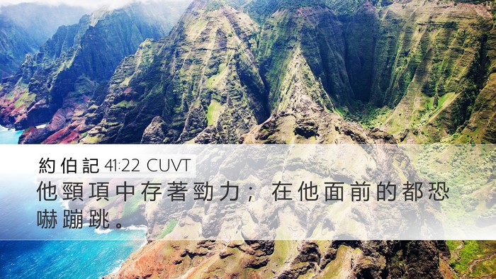 約 伯 記 41:22 CUVT Desktop Wallpaper - 他 頸 項 中 存 著 勁 力 ； 在 他 面 - Desktop Bible Verse Wallpaper