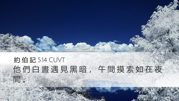 約 伯 記 5:14 CUVT Bible Verse Image
