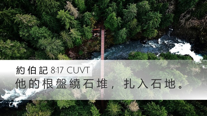 約 伯 記 8:17 CUVT Desktop Wallpaper - 他 的 根 盤 繞 石 堆 ， 扎 入 石 地 - Desktop Bible Verse Wallpaper
