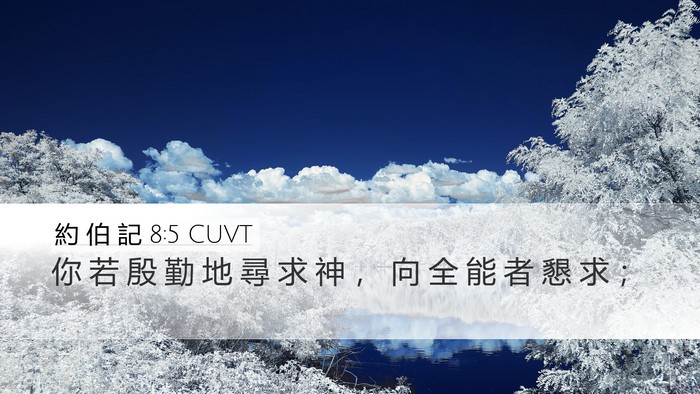 約 伯 記 8:5 CUVT Bible Verse Image