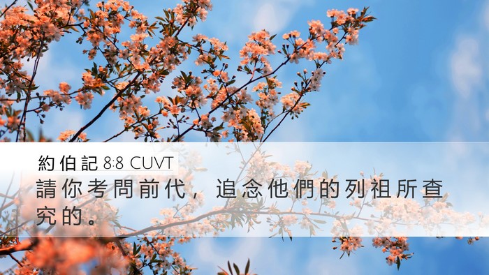 約 伯 記 8:8 CUVT Bible Verse Image