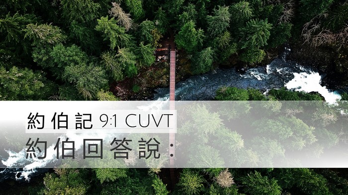 約 伯 記 9:1 CUVT Desktop Wallpaper - 約 伯 回 答 說 - Desktop Bible Verse Wallpaper
