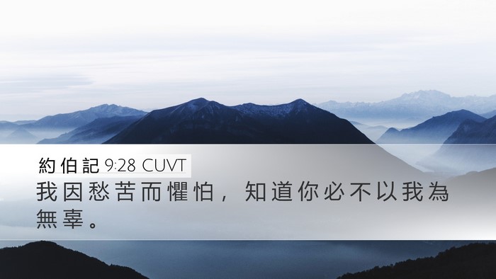 約 伯 記 9:28 CUVT Bible Verse Image