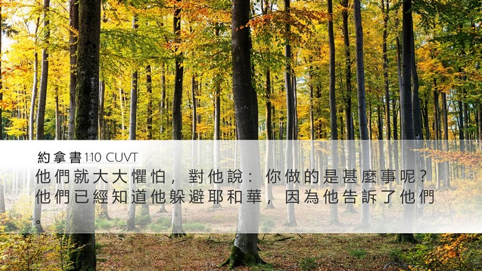約 拿 書 1:10 CUVT Bible Verse Image