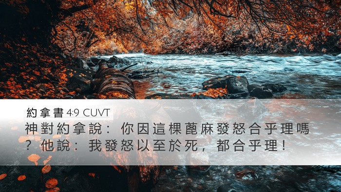 約 拿 書 4:9 CUVT Bible Verse Image