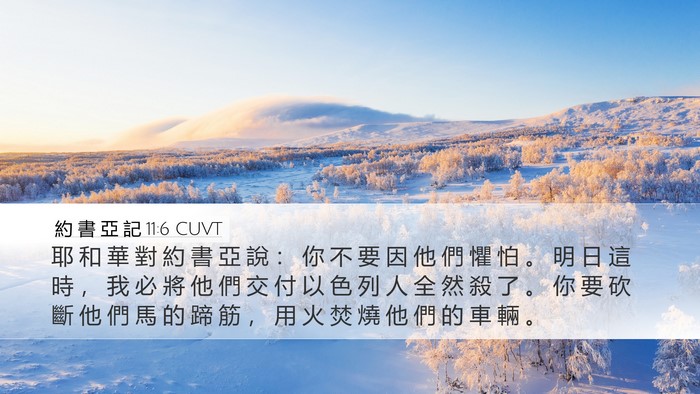 約 書 亞 記 11:6 CUVT Bible Verse Image