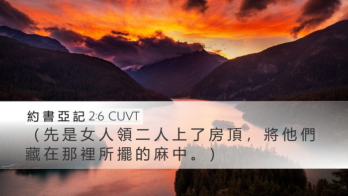 約 書 亞 記 2:6 CUVT Bible Verse Image