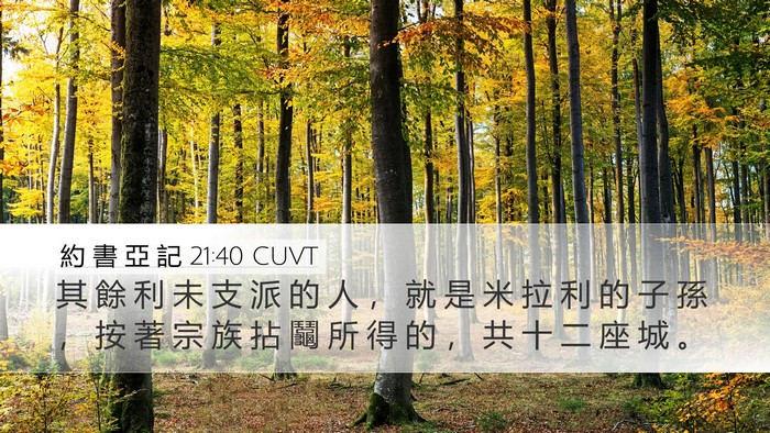 約 書 亞 記 21:40 CUVT Desktop Wallpaper - 其 餘 利 未 支 派 的 人 ， 就 是 米 - Desktop Bible Verse Wallpaper