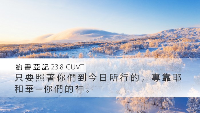 約 書 亞 記 23:8 CUVT Bible Verse Image