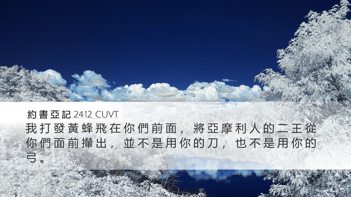 約 書 亞 記 24:12 CUVT Bible Verse Image