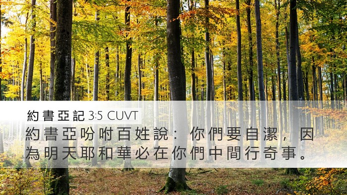 約 書 亞 記 3:5 CUVT Bible Verse Image