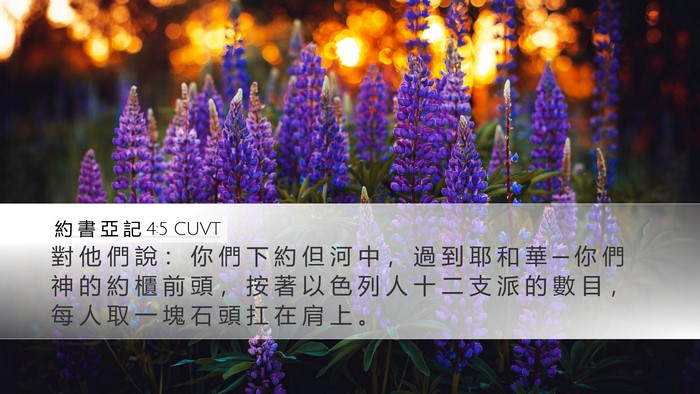 約 書 亞 記 4:5 CUVT Bible Verse Image
