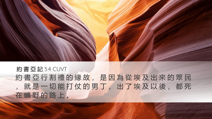 約 書 亞 記 5:4 CUVT Desktop Wallpaper - 約 書 亞 行 割 禮 的 緣 故 ， 是 因 - Desktop Bible Verse Wallpaper