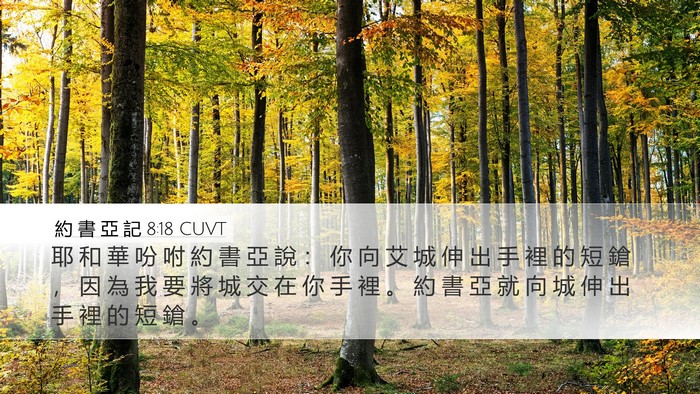 約 書 亞 記 8:18 CUVT Bible Verse Image
