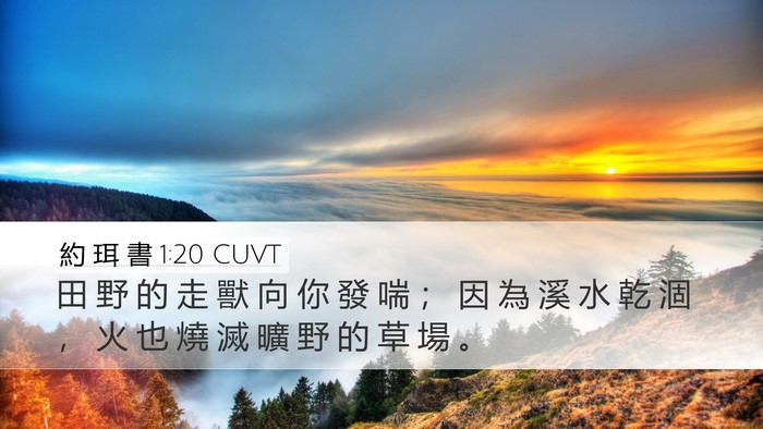 約 珥 書 1:20 CUVT Bible Verse Image
