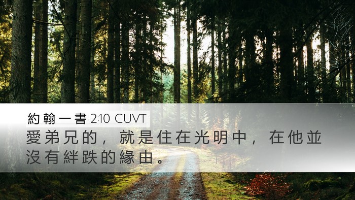 約 翰 一 書 2:10 CUVT Bible Verse Image