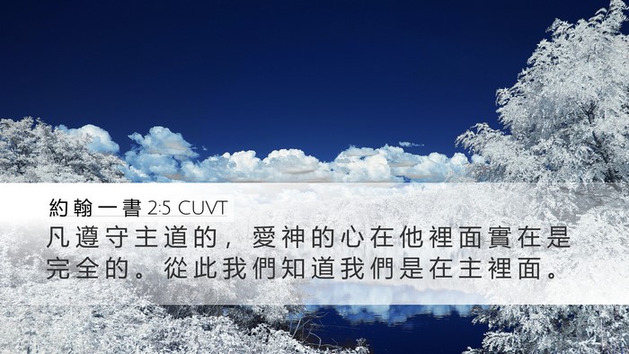約 翰 一 書 2:5 CUVT Bible Verse Image