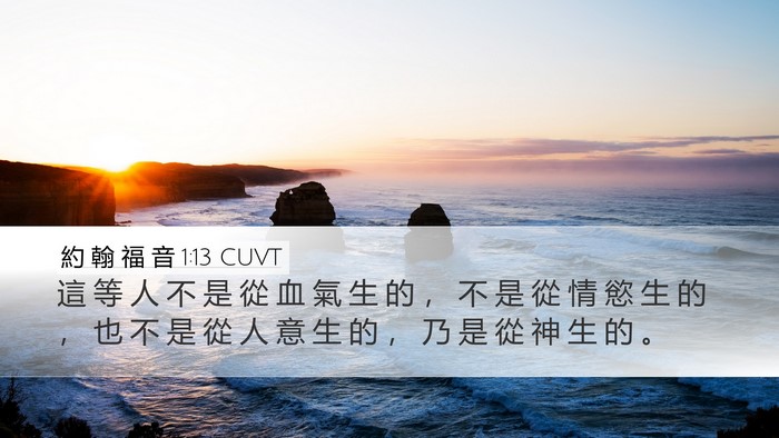 約 翰 福 音 1:13 CUVT Bible Verse Image