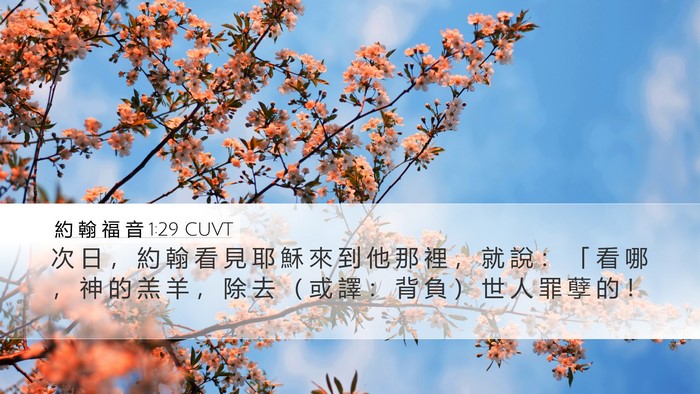 約 翰 福 音 1:29 CUVT Bible Verse Image