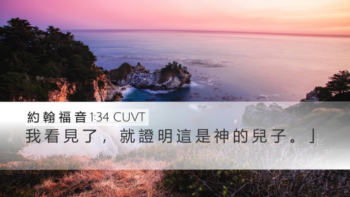 約 翰 福 音 1:34 CUVT Bible Verse Image